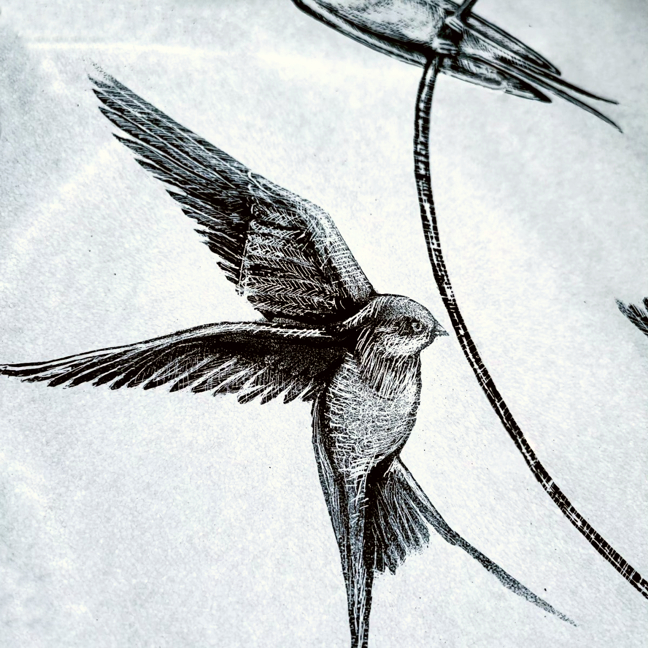 Gedule Agnese_THE FAIRY TALE